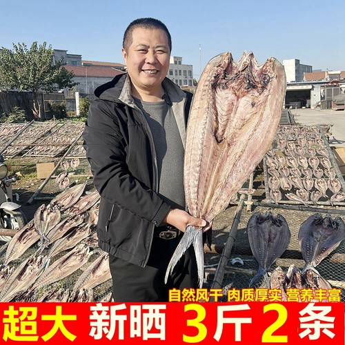 超大野生鲅鱼干3斤共2条大鱼