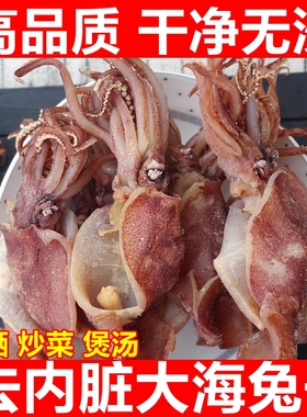 去内脏海兔干500g包邮新鲜乌贼笔管鱼海兔子墨鱼仔鱿鱼仔干货大号