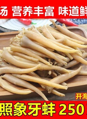 日照象拨蚌煲汤营养丰富