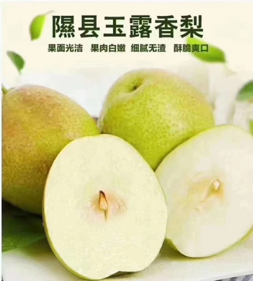 山西隰县特产玉露香梨皮薄肉厚核小汁多香甜可口12颗9颗礼盒装