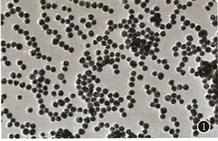 球形金纳米颗粒-水溶性金纳米颗粒-油溶性金纳米颗粒