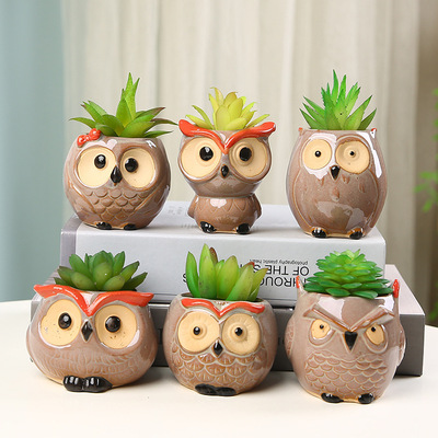Cute owl ceramic flowerpot succulent plant potted ornament