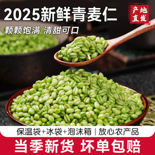 2025新鲜青麦仁青麦粒米河南正宗麦穗麦子青小麦去皮鲜麦仁粥杂粮