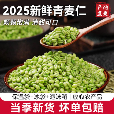 2025新鲜青麦仁青麦粒米河南正宗麦穗麦子青小麦去皮鲜麦仁粥杂粮