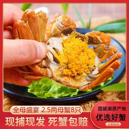 固城湖大闸蟹鲜活特大螃蟹3.5两公蟹2.5两母蟹湖蟹河蟹淡水蟹八只