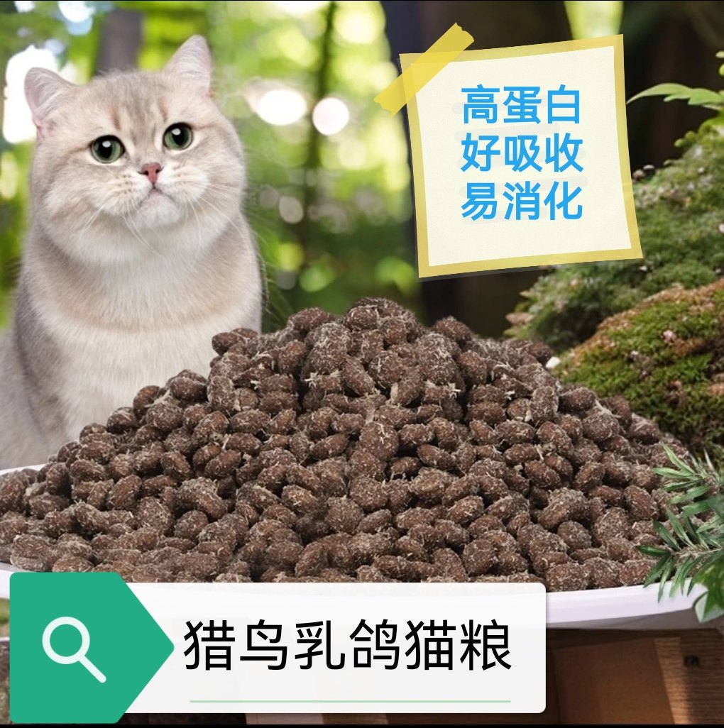 猎鸟乳鸽猫粮全价无谷成猫幼猫通用型猫粮鸡肉绒冻干猫粮虎斑蓝猫,宠物/宠物食品及用品,猫全价膨化粮,淘宝优惠券,粉丝福利购,淘宝优惠卷