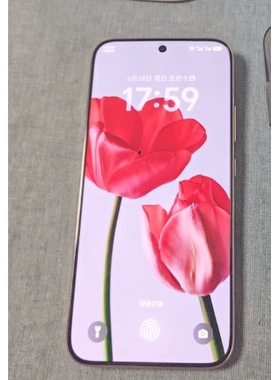 适用HONOR荣耀 X80 Pro Max手机钢化膜防爆膜护眼膜屏幕保护膜软膜防刮高清膜