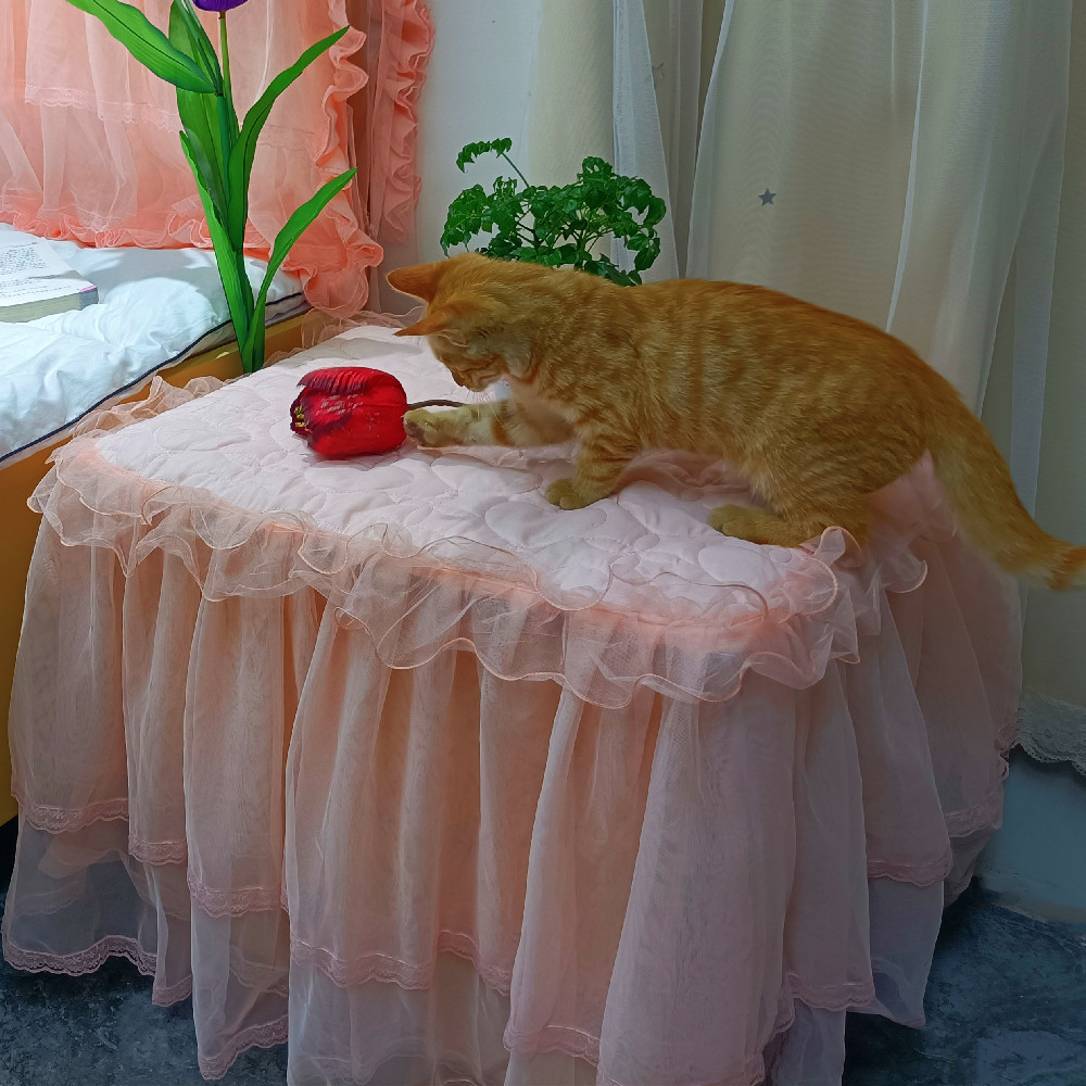 夹棉蕾丝床头柜罩保护罩公主风全包欧式床头柜盖布小桌布防尘罩子