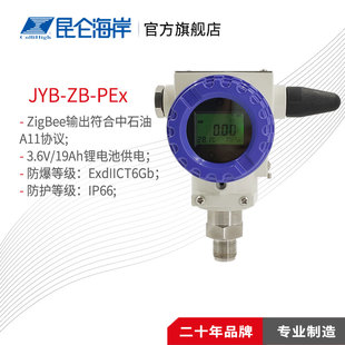 昆侖海岸壓力無(wú)線測(cè)量?jī)xJYB 電池供電防爆油田專用 PEx