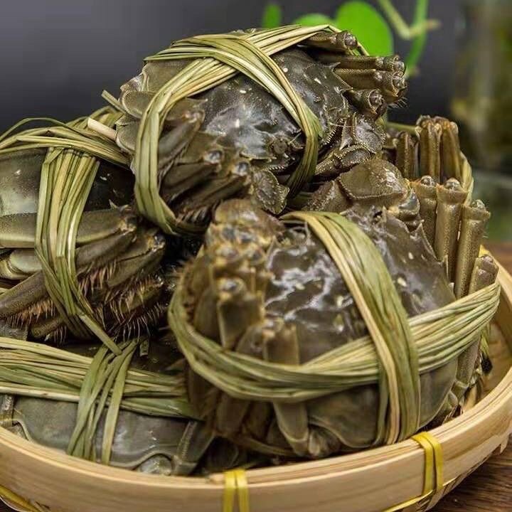 兴化红膏大闸蟹特大（巨无霸）公6.1-6.5 母4.6-5.1鲜活礼盒8只装