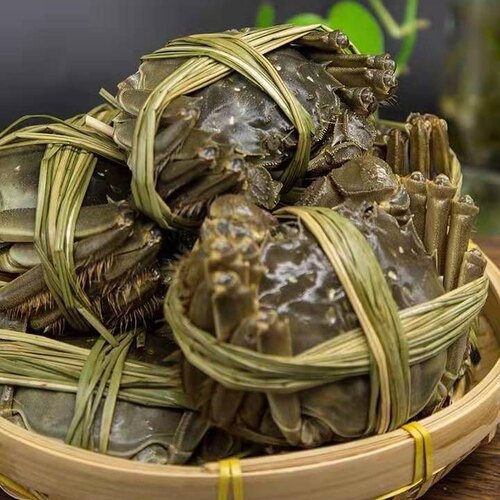 兴化红膏大闸蟹特大（巨无霸）公6.1-6.5 母4.6-5.1鲜活礼盒8只装