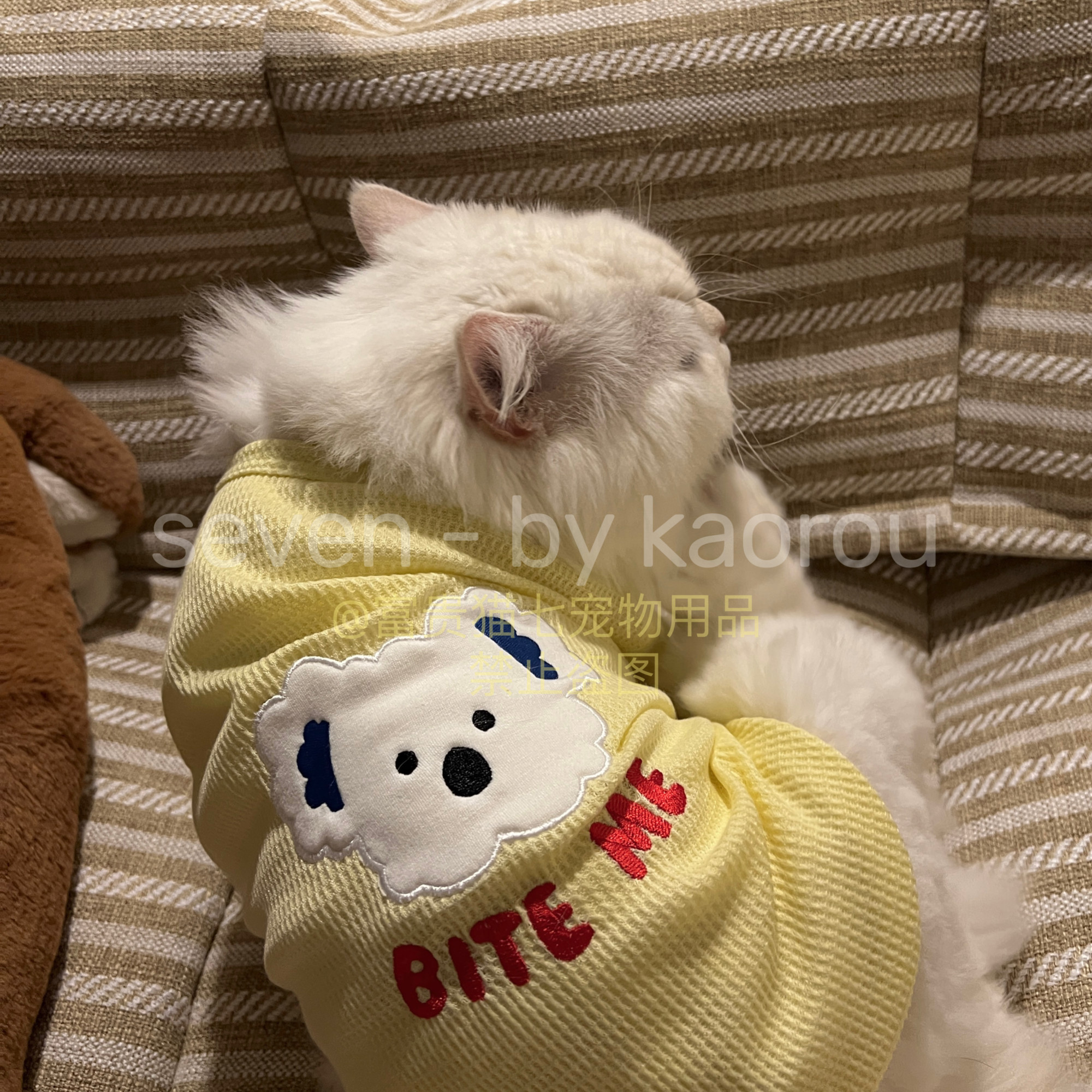 可爱宠物猫咪衣服夏天防掉毛小型犬泰迪博美狗狗衣服布偶猫背心