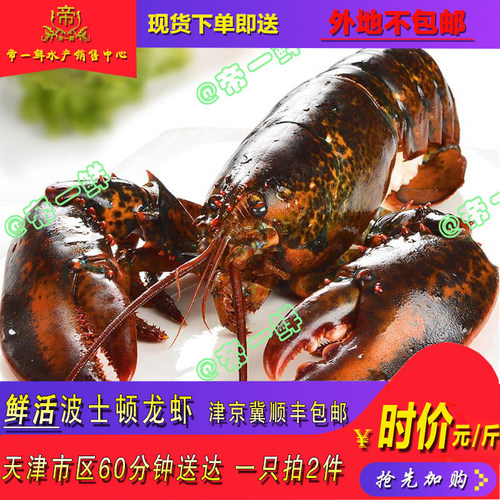 天津鲜活波龙大龙虾波士顿超大冷冻包邮加拿大进口澳龙青花龙 - 封面