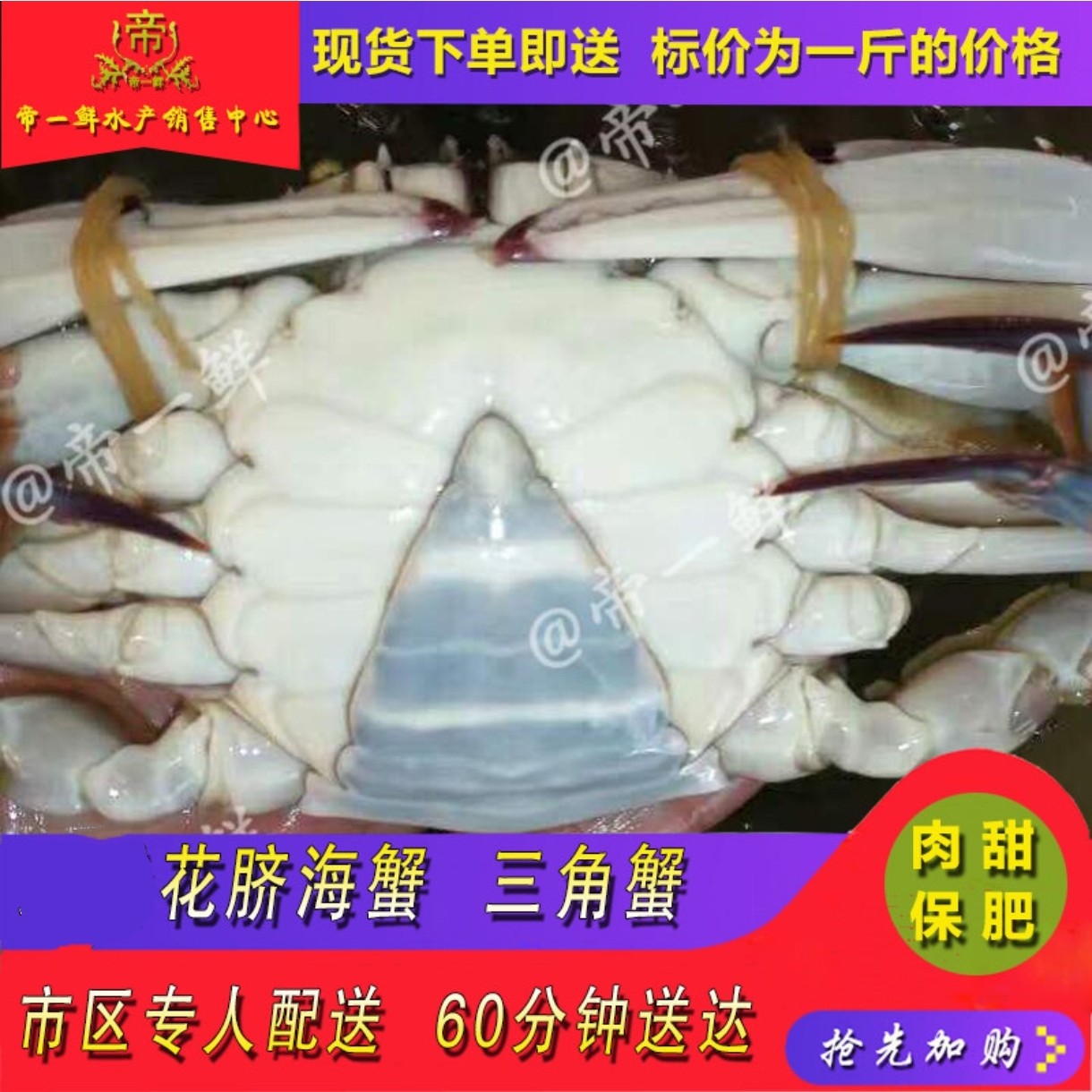 三角蟹花脐蟹新鲜肉肥白膏儿