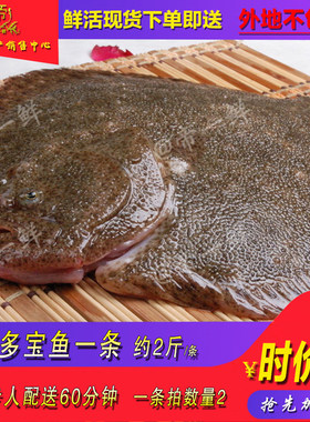 活鱼海水鱼帝一鲜刺少清蒸鱼