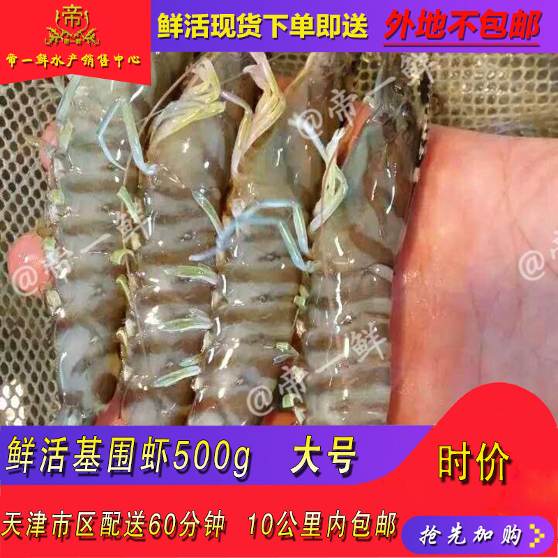 鲜活基围虾新鲜肉质Q弹口感鲜美