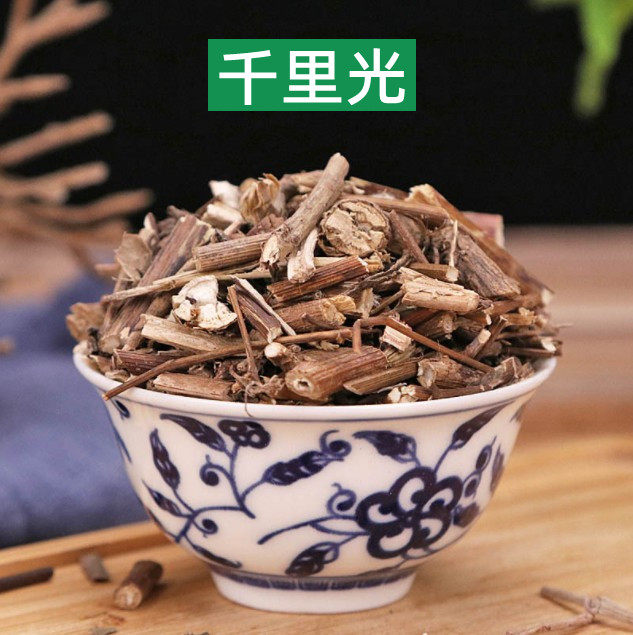 中药材 正宗千里光 九里明全草 九里光 中草药黄花草 新货500克