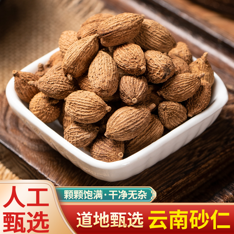 中药材野生砂仁特级砂仁果