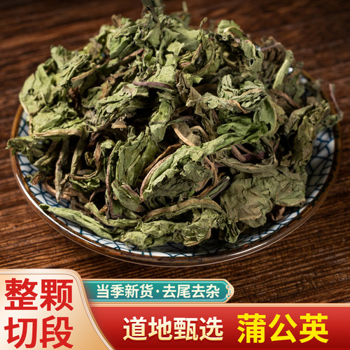 中药材野生蒲公英花茶公英根