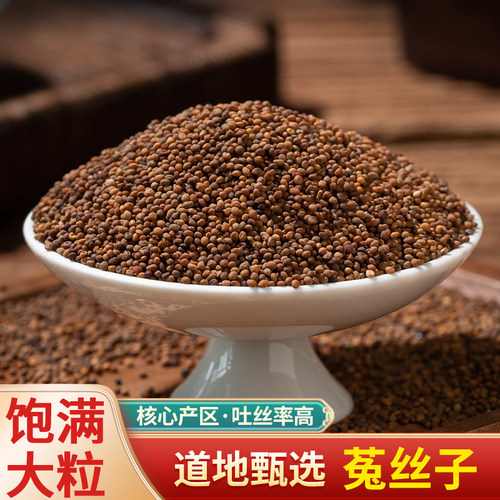 超高吐丝率菟丝子中药材沙苑子