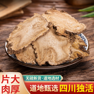 中药材 正宗野生独活 特级独活片 无硫散装 当季新货 另有寄生