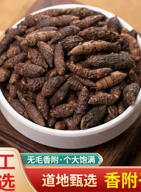中药材特级香附野生香附子