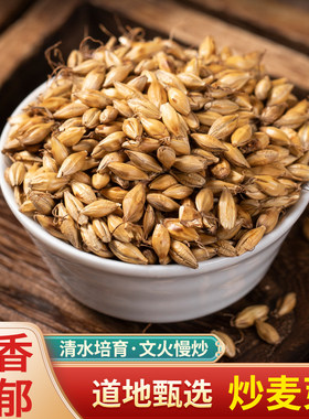 炒麦芽抄麥牙茶生麦芽稻芽谷芽