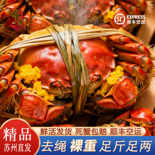 苏州六月黄鲜活大闸蟹大个头现货