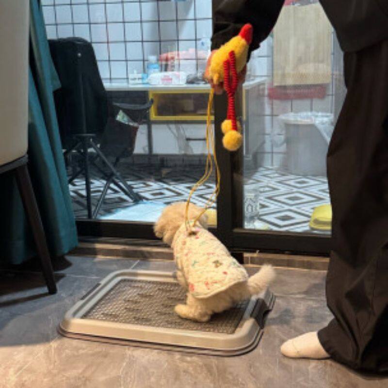爱丽丝狗狗厕所便便器宠物便盆网格小型犬小狗爱丽思平板式狗厕所
