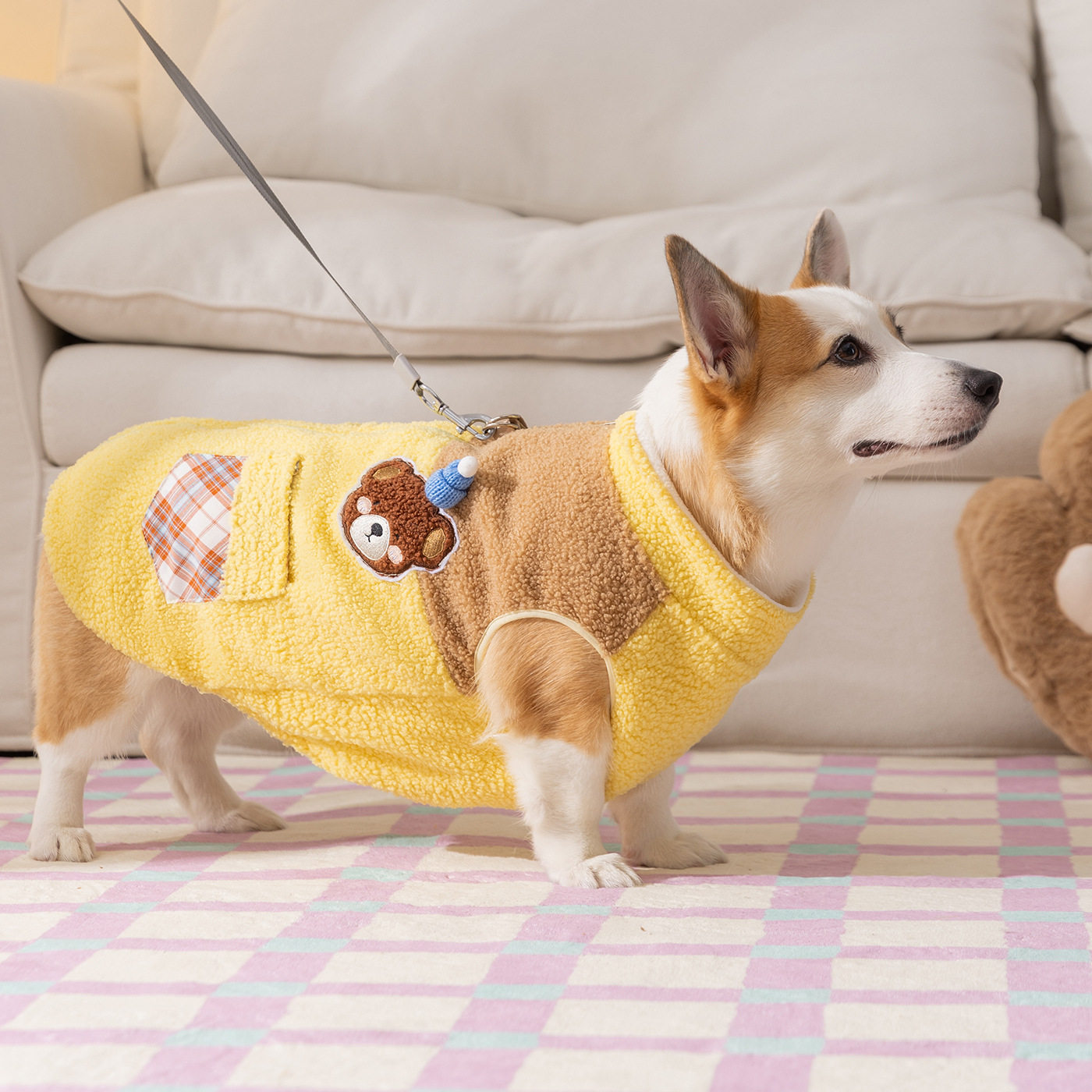 柯基狗狗衣服秋冬撞色小熊贴布中型犬保暖两脚绒衣腊肠犬宠物服饰