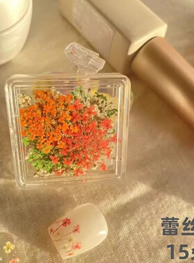 简约混色爆款小清新美甲干花饰品
