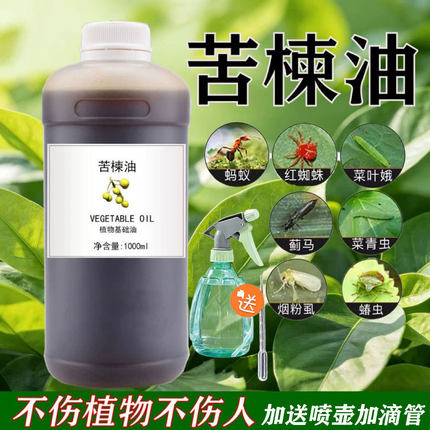 苦楝油 油溶性 印楝油苦楝子油天然日化驱虫手工皂原料