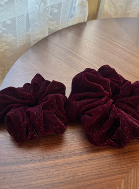 韩国高级感细闪满天星大肠发圈复古马尾发绳头绳氛围感气质头花