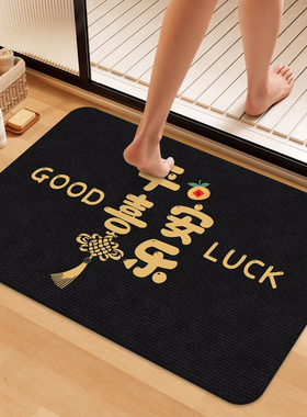 浴室专用硅藻泥吸水地垫卫生间门口洗手间厕所防滑脚垫子耐脏耐磨