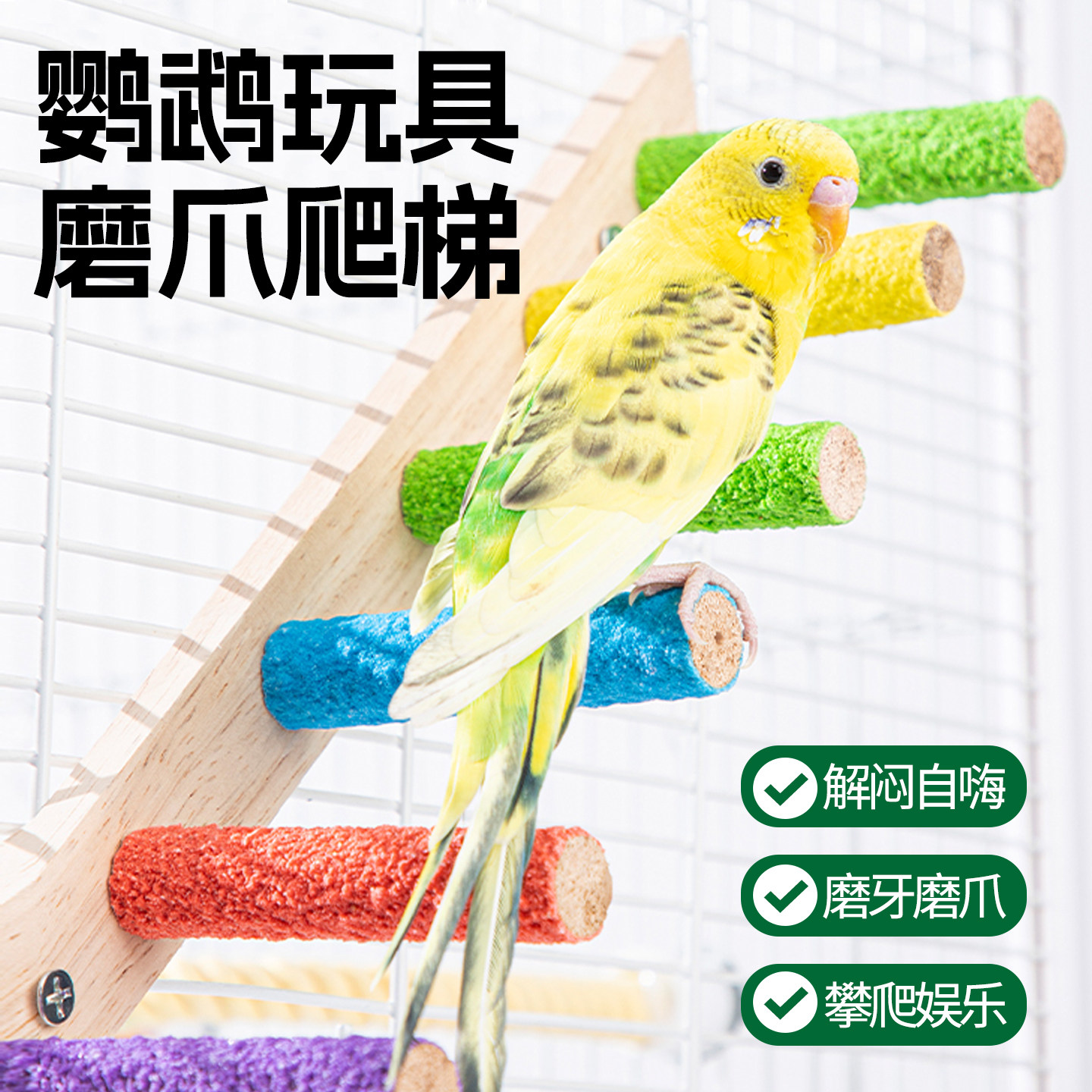 鹦鹉爬梯玩具解闷自嗨鸟笼内装饰磨砂站棍秋千牡丹虎皮啃咬专用品,宠物/宠物食品及用品,鸟玩具,淘宝优惠券,粉丝福利购,淘宝优惠卷