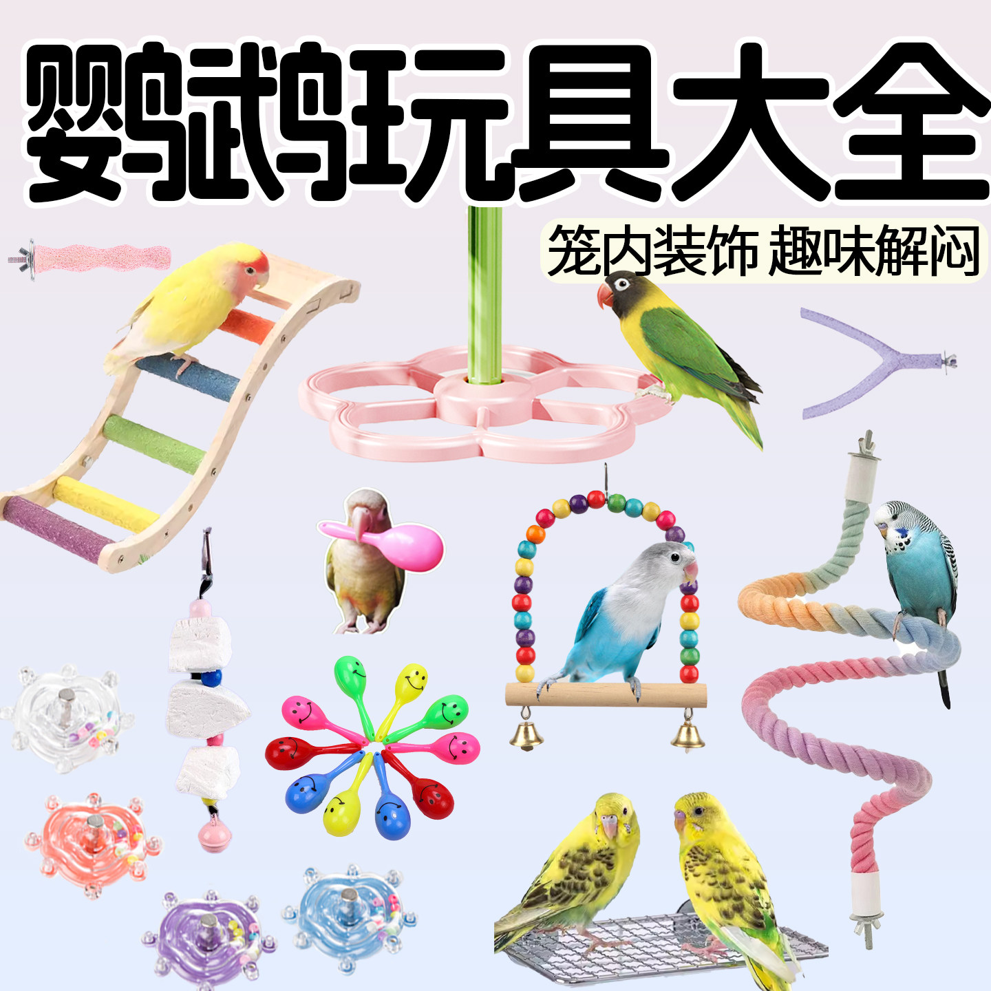 鹦鹉玩具鸟笼内装饰啃咬解闷攀爬网绳站杆磨爪棒秋千转转乐墨鱼骨,宠物/宠物食品及用品,鸟玩具,淘宝优惠券,粉丝福利购,淘宝优惠卷