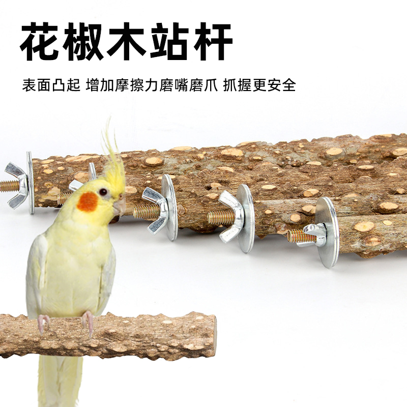 鹦鹉花椒木站杆站棍站架