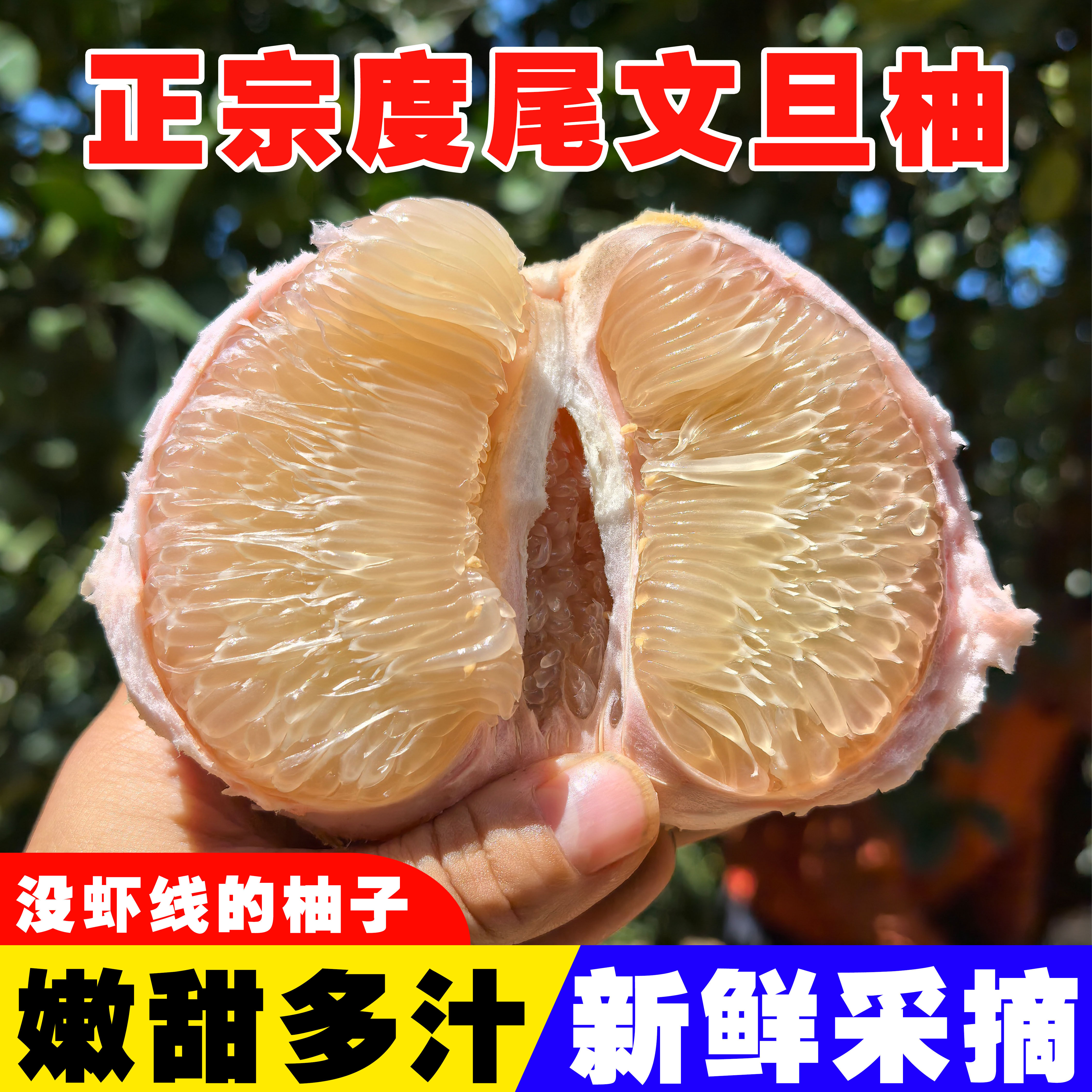 正宗福建度尾文旦柚清甜爆汁当季新鲜水果孕妇柚子包邮