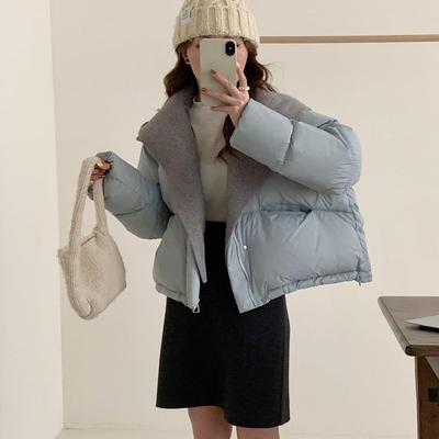 韩系短款可脱卸帽新国标羽绒服