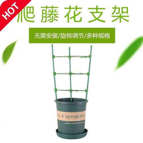 盆景蔷薇质量怎么样 盆景蔷薇口碑怎么样 小麦优选