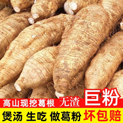 顺丰可选正宗广西葛根新鲜现挖粉葛无渣生吃葛薯葛根片柴葛煲汤