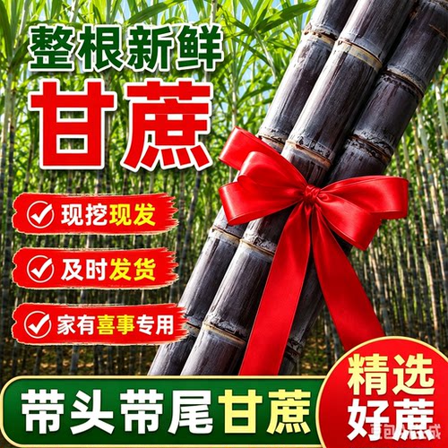顺丰整根黑皮甘蔗海南新鲜应季水果特产结婚搬家新居喜事节节高