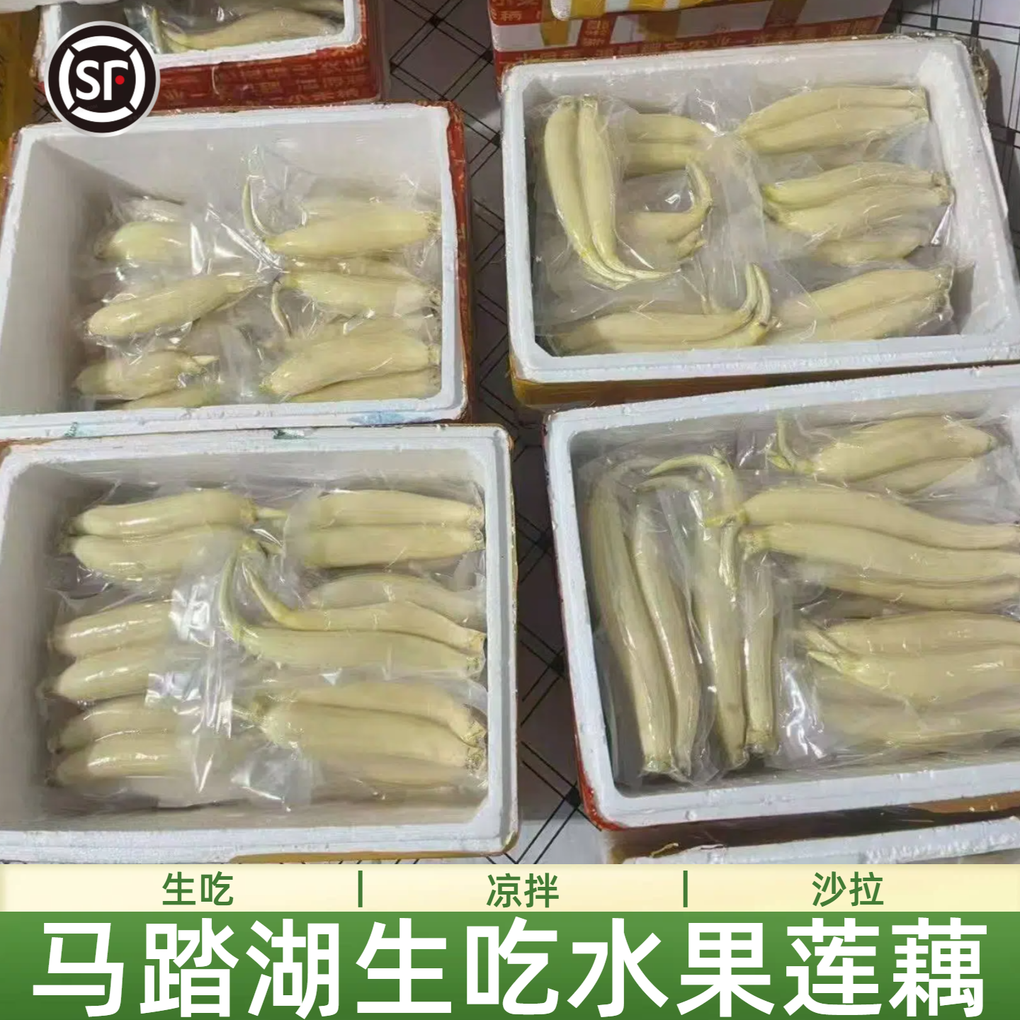 顺丰山东淄博马踏湖白莲藕生吃藕脆藕莲菜水果藕新鲜现挖产地直发