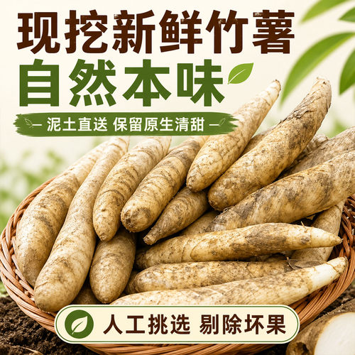 农家新鲜竹薯现挖无渣竹芋5斤当季冬粉薯煲汤特产农家菜食材竹根
