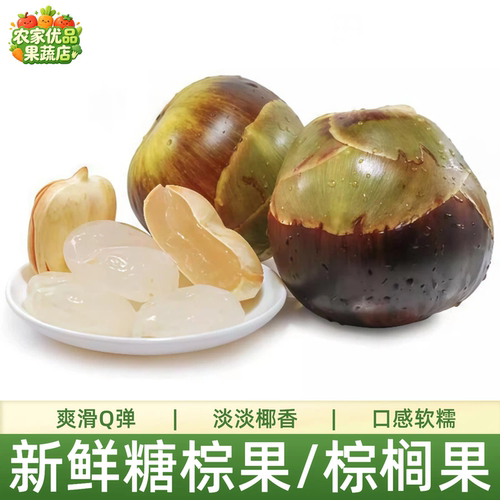 新鲜糖棕果又称海底椰稀见热带孕妇水果旗舰店网红果棕榈果亚达子