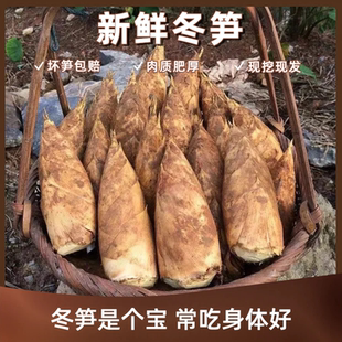 顺丰包邮冬笋新鲜现挖现发天目山冬笋毛笋大鲜笋农家楠竹笋5斤