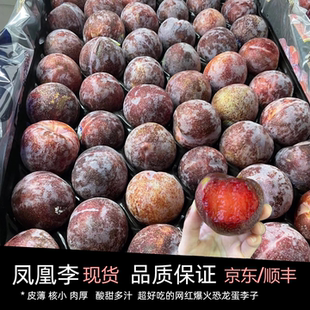 澳洲进口李子新鲜凤凰李当季孕妇水果玫瑰李红心血丝李红肉恐龙蛋