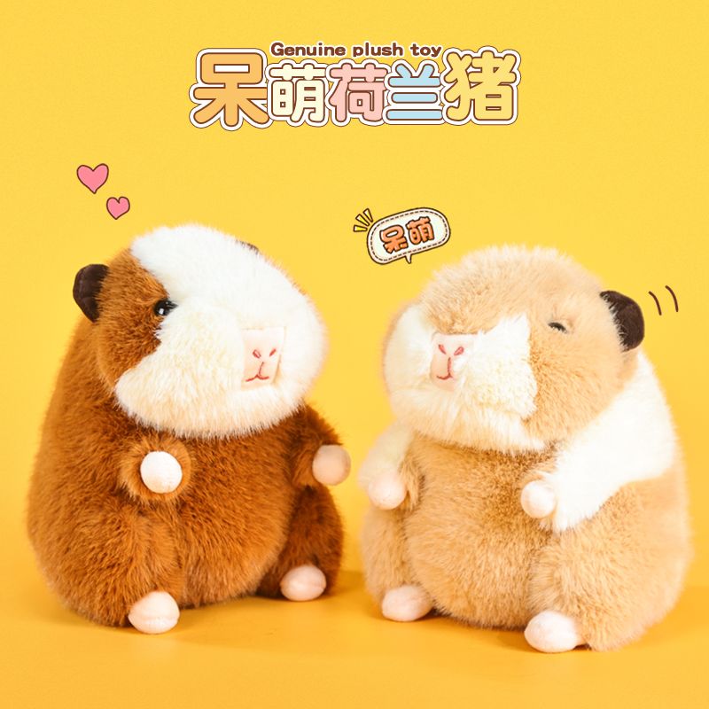 可爱荷兰猪公仔毛绒儿童玩具女孩