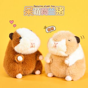 网红荷兰猪公仔毛绒玩具可爱天竺鼠布娃娃睡觉抱枕玩偶礼物男女孩
