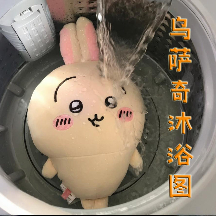 【秃头小丧兔~快来领回家】